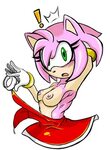 Rule34 - If it exists, there is porn of it / amy rose / 4747